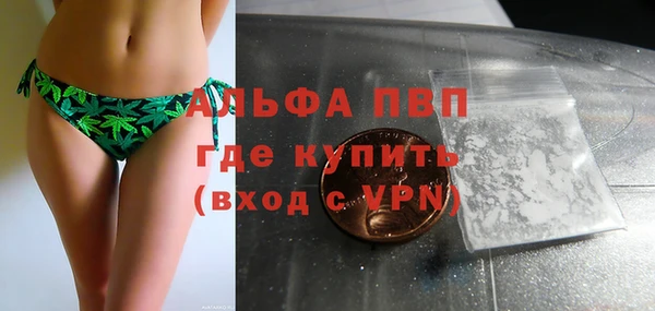 амф Балахна