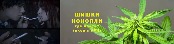 гашик Балабаново