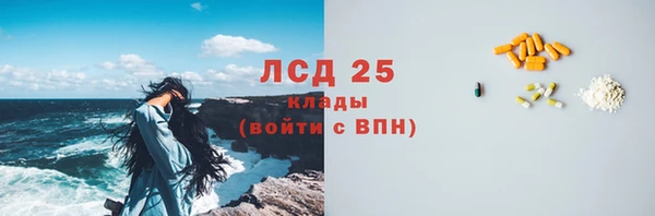 ECSTASY Ельня
