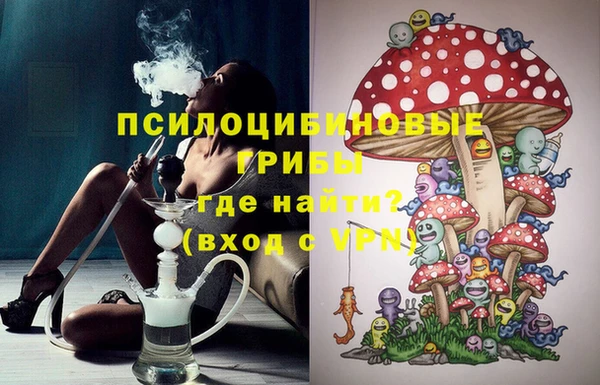 гашик Балабаново