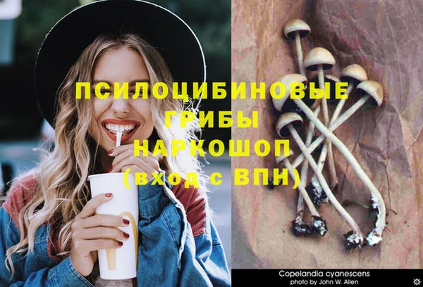 амф Балахна