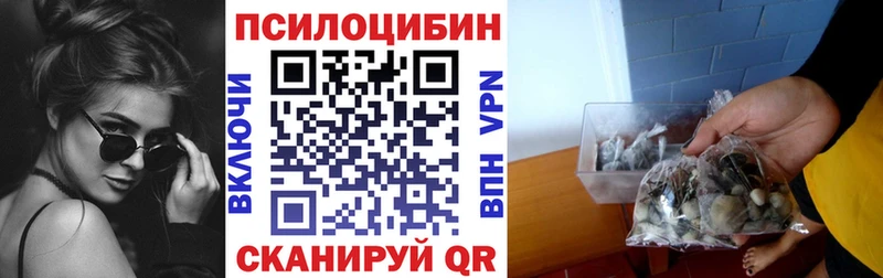 Псилоцибиновые грибы прущие грибы  гидра сайт  Орлов  сколько стоит 